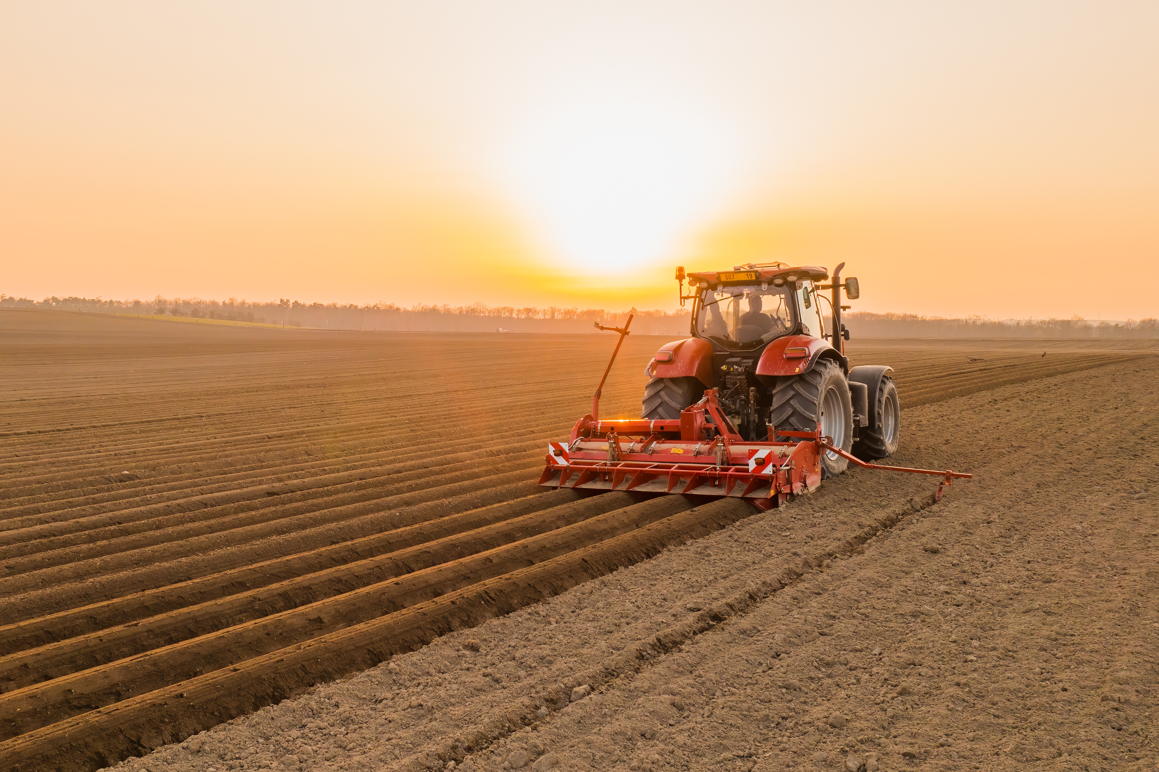 Agriculture